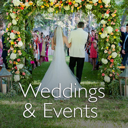 Viridian Weddings and Events